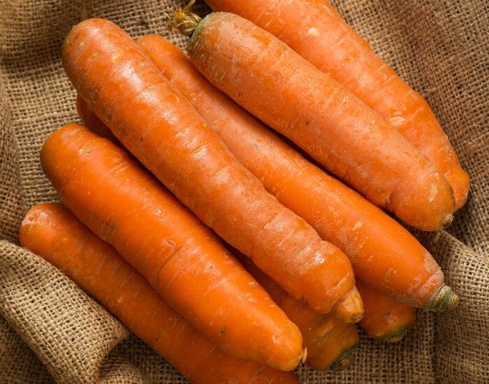 Carrots on blanket