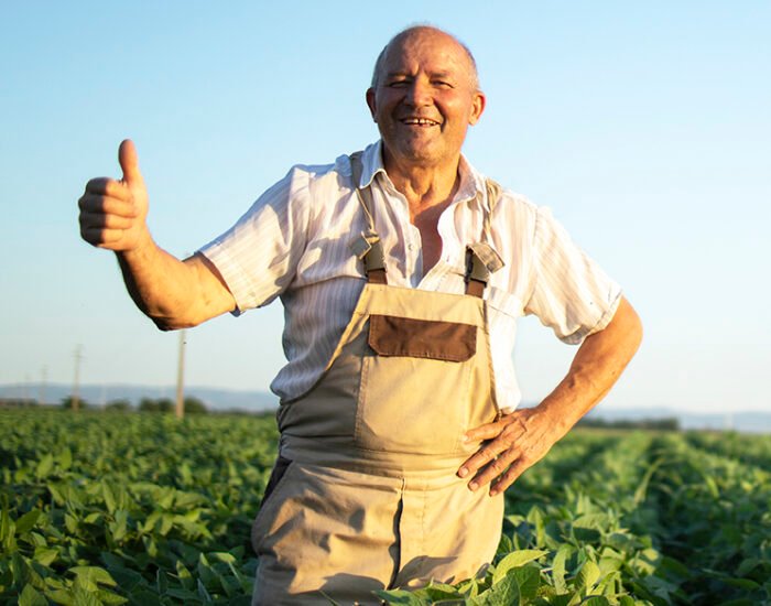 Portrait of senior hardworking farmer agronomist in soybean field holding thumbs up checking crops before harvest.